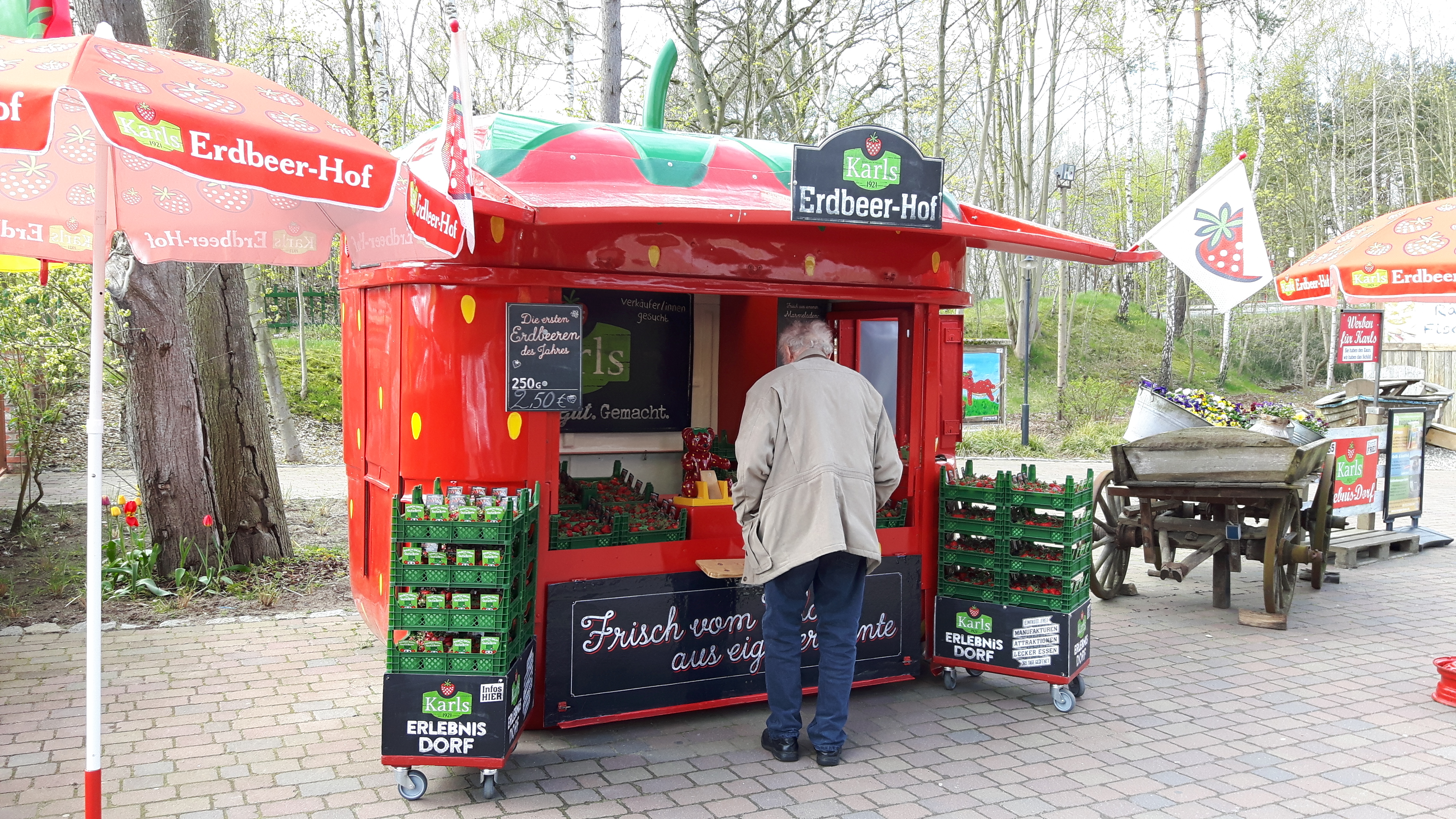Abenteuerpark Kressbronn 2021 All You Need To Know Before Abenteuerpark Kressbronn 2021 All You Need To Know Before