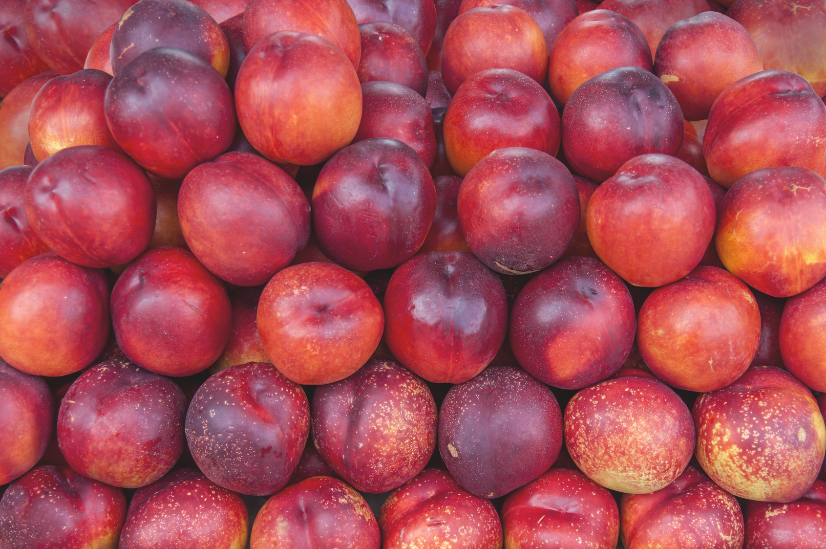 Fresh healthy peach on farmer agricultural market on morning sunny day close