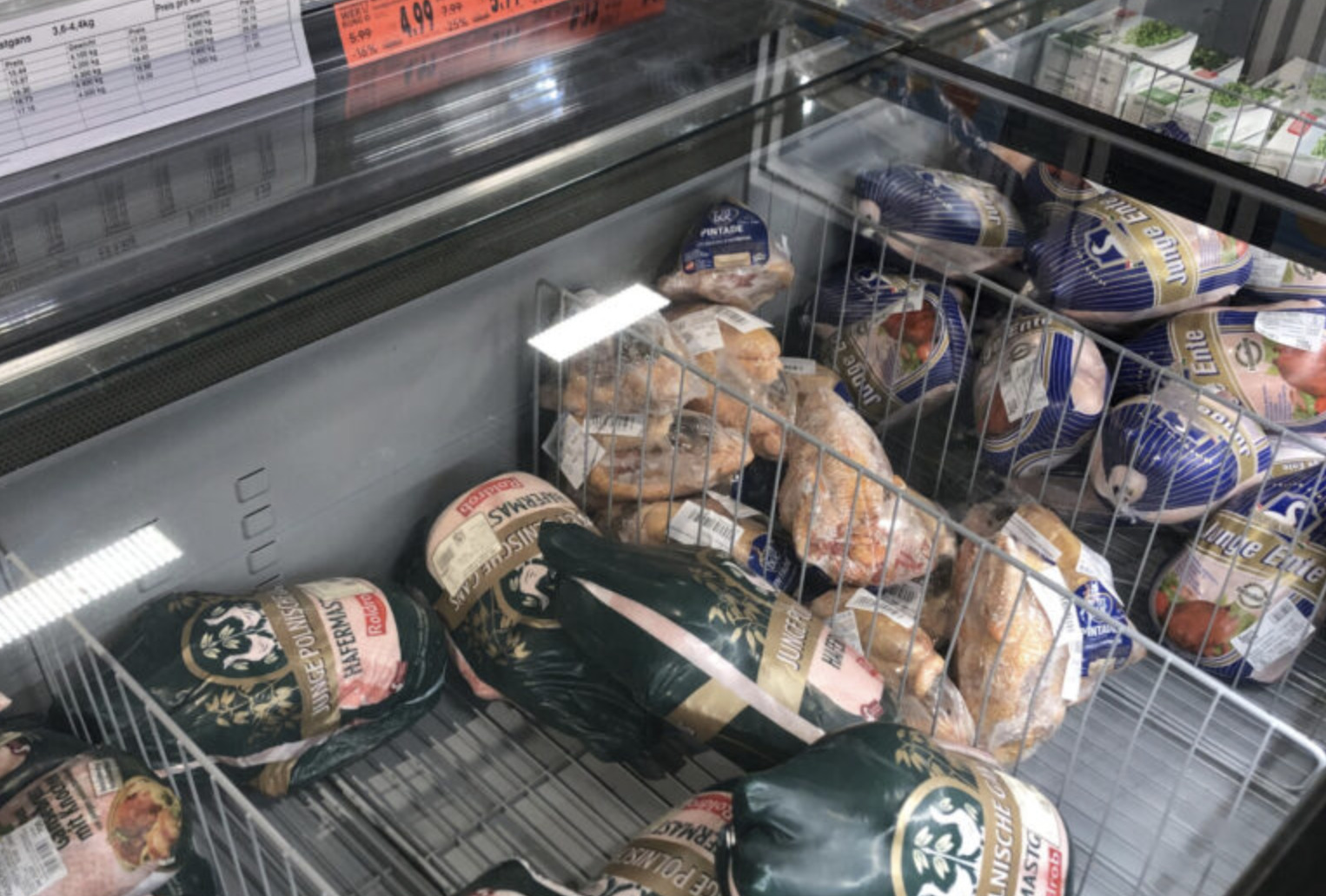 Knappe Weihnachtsgans: Was bedeutet die Geflügelpest für die Festtagsgans?